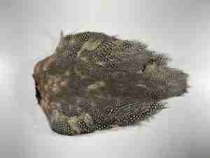 TFS Guinea fowl skin