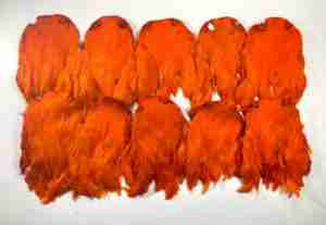 TFS Indian hen dyed