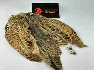 TFS Indian partridge skin