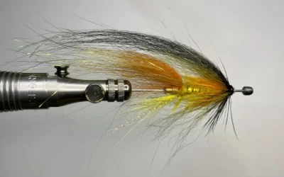 Mosca tubo – Bicolor Hair