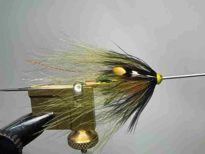 Mosca tubo -Peacock Butt