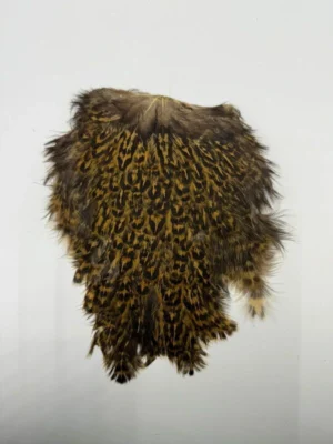 TFS Variegated Hen